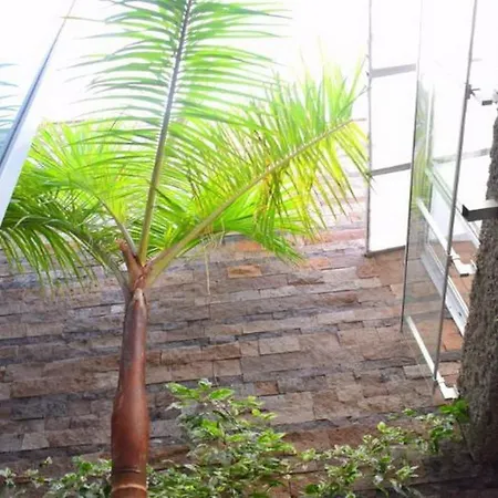 5-bedroom In Playa Del Duque *