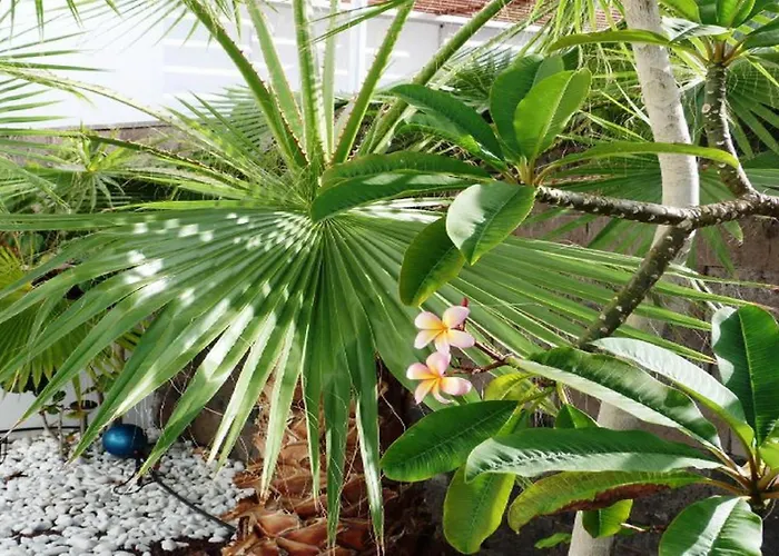 5-bedroom In Playa Del Duque *